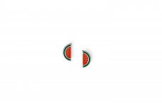 Earrings - Watermelon