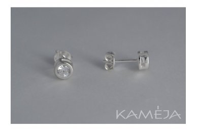 Earrings with Cubic Zirconia A3081600120 1