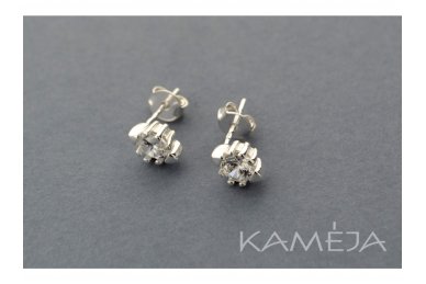 Earrings with Cubic Zirconia A2304400170 2