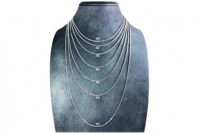 Silver round chain 2