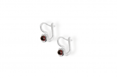 Silver earrings with Garnets 1