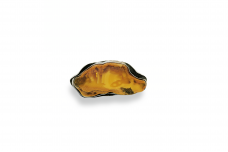 Exclusive brooch - Baltic Amber