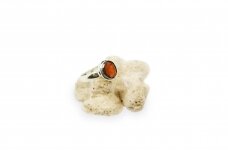 Silver ring with Garnet