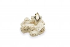 Silver ring with Quartz