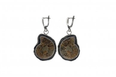 Exclusive earrings with ammonite