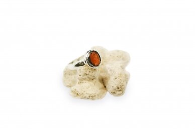 Silver ring with Garnet